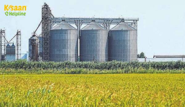 केंद्र ने स्टील सिलोस में चावल स्टोर करने, अनाज की बर्बादी से बचने के लिए पायलट प्रोजेक्ट शुरू किया